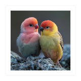 Pair Of Lovebirds Sitting On Rocks (Print Only) thumbnail