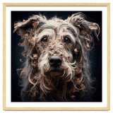Old Dog 09 thumbnail