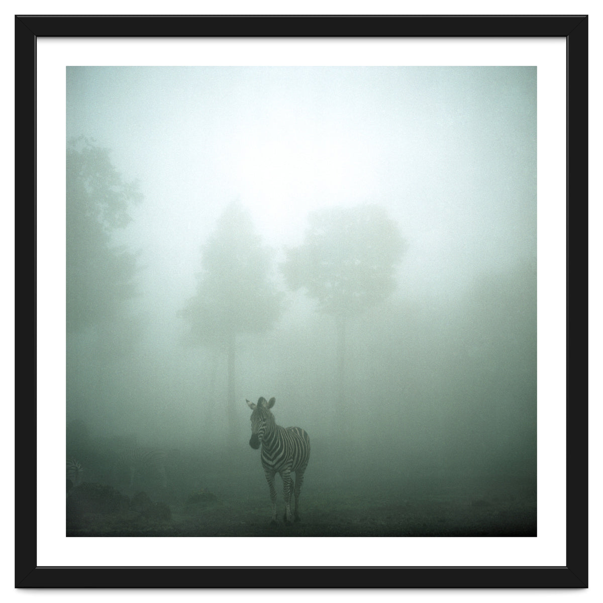 Silence of breath - 01