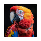 Scarlet Macaw Parrot Close Up Portrait Vivid Colors (Print Only) thumbnail