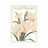Flower Market Cap Town Amaryllis (Print Only) thumbnail