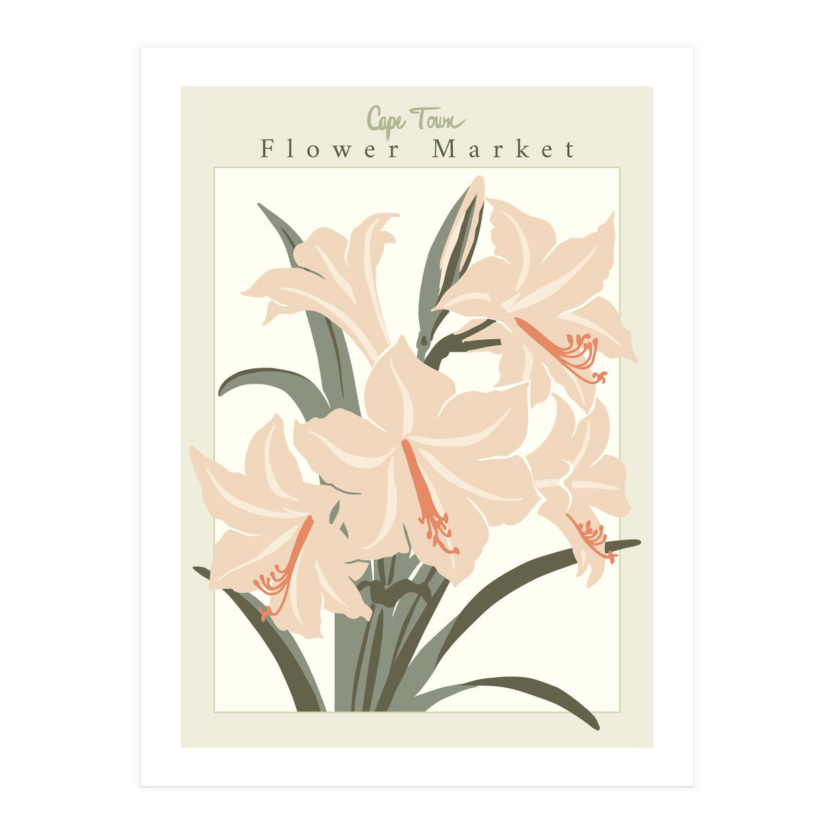 Flower Market Cap Town Amaryllis (Print Only)