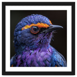 Close Up Portrait Of A Vibrant Exotic Bird thumbnail