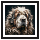 Old Dog 01 thumbnail