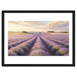 Provençal Sunset: Lavender Field Landscape thumbnail