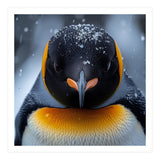 Close Up King Penguin In The Snow (Print Only) thumbnail