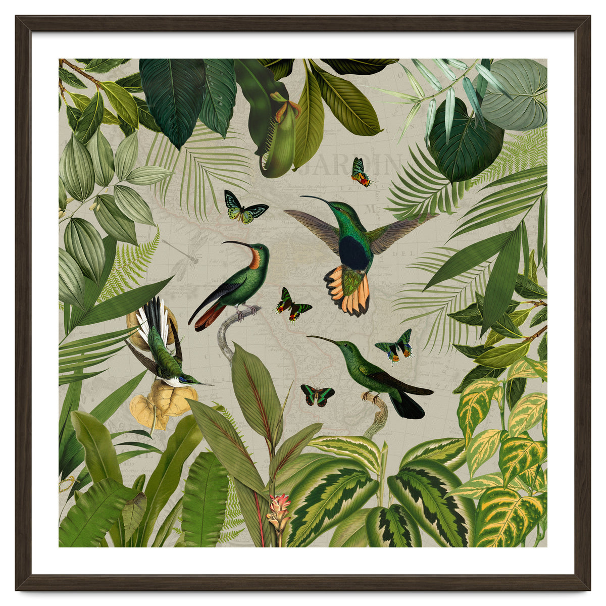 Vintage Exotic Hummingbirds Jungle