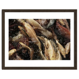 Fish01 thumbnail