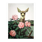Japan, Doe in Blossom Bush (Print Only) thumbnail