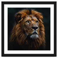Majestic Lion Portrait In Gentle Rain