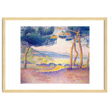 Pines Along the Shore. thumbnail