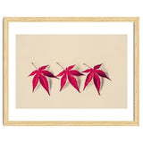 Dancing Leaves thumbnail