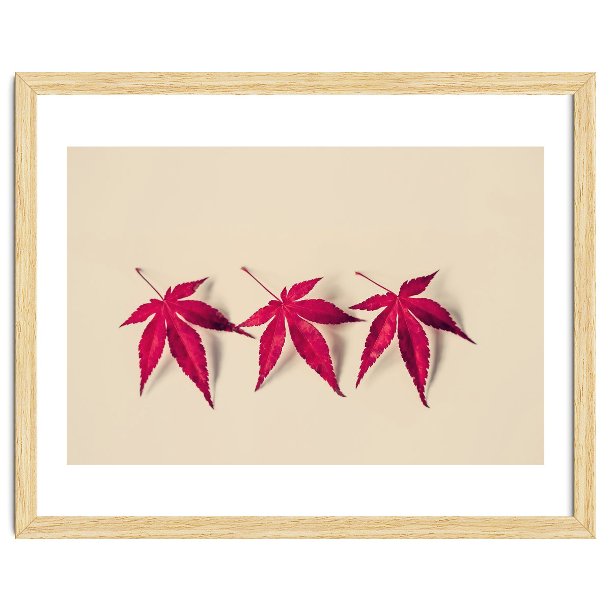 Dancing Leaves