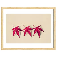 Dancing Leaves
