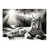Lynx Resting In Sunlight (Print Only) thumbnail