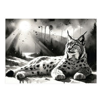 Lynx Resting In Sunlight (Print Only)