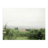 Red Roof house in between the summer green field - Iceland (Print Only) thumbnail