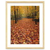 Ethereal Autumn Forest Path thumbnail