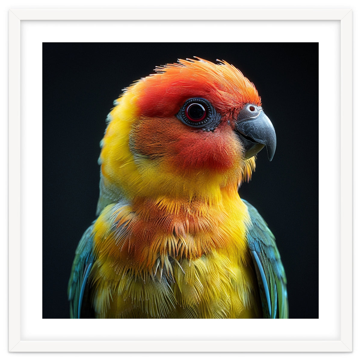 Vibrant Sun Conure Parrot Close Up Portrait
