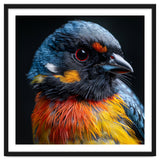 Close Up Of A Colorful Bird In The Wild thumbnail