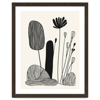 Abstract Black And White Botanical Illustration With Organic Shapes