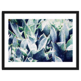 Cactus Garden thumbnail