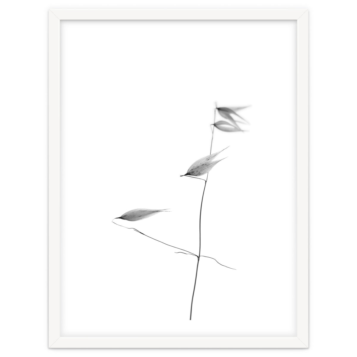 In light of current events IV