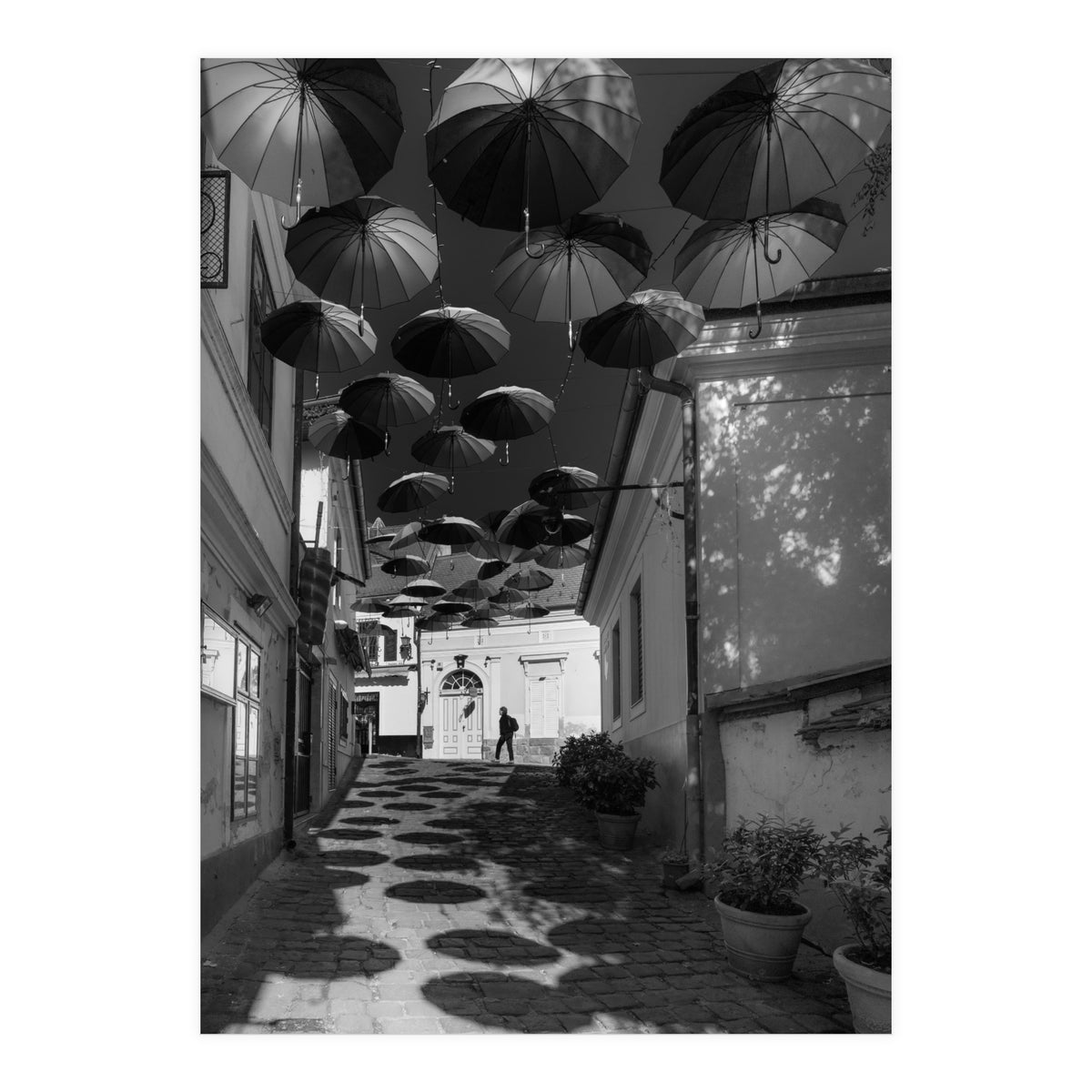 Under umbrellas (Print Only)