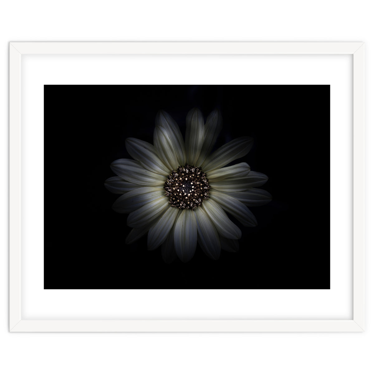 Backyard Flowers No 27 Color Version