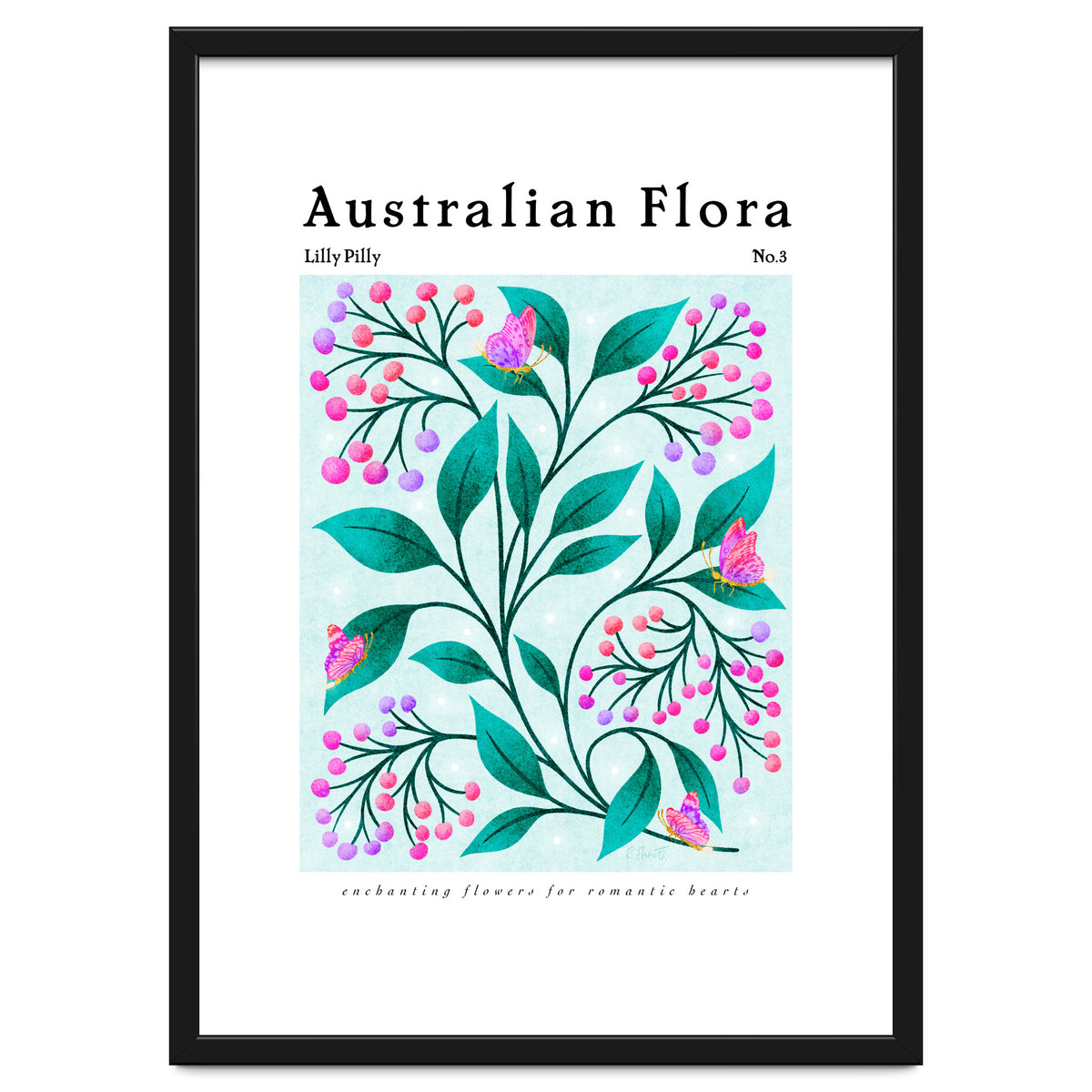 Australian Flora: Lilly Pilly