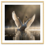 Graceful Swan Spreading Wings On Sparkling Water thumbnail