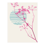 Plant based happyness Fennel still life (Print Only) thumbnail