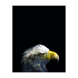 What It A Dream (Print Only) thumbnail