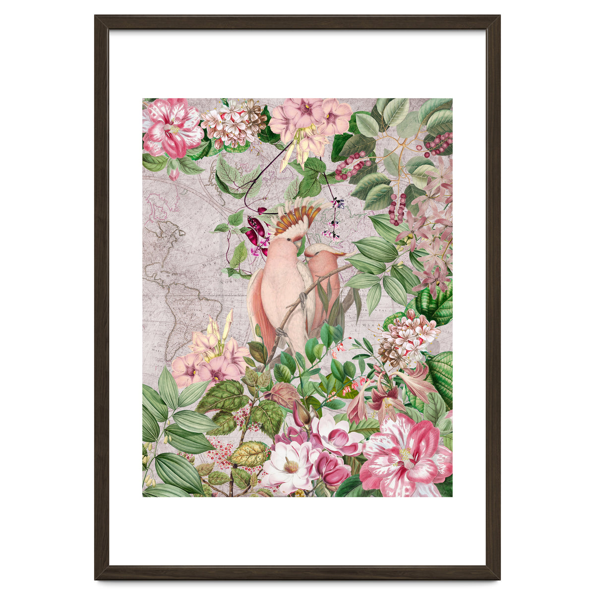 Parrot Exotic Jungle