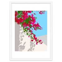 Bougainvillea Blossom, Greece Tropical Summer Travel, Santorini Architecture White Buildings Floral Nature Garden