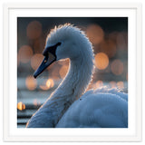 Close-up Shot of a Swan with Water Droplets thumbnail