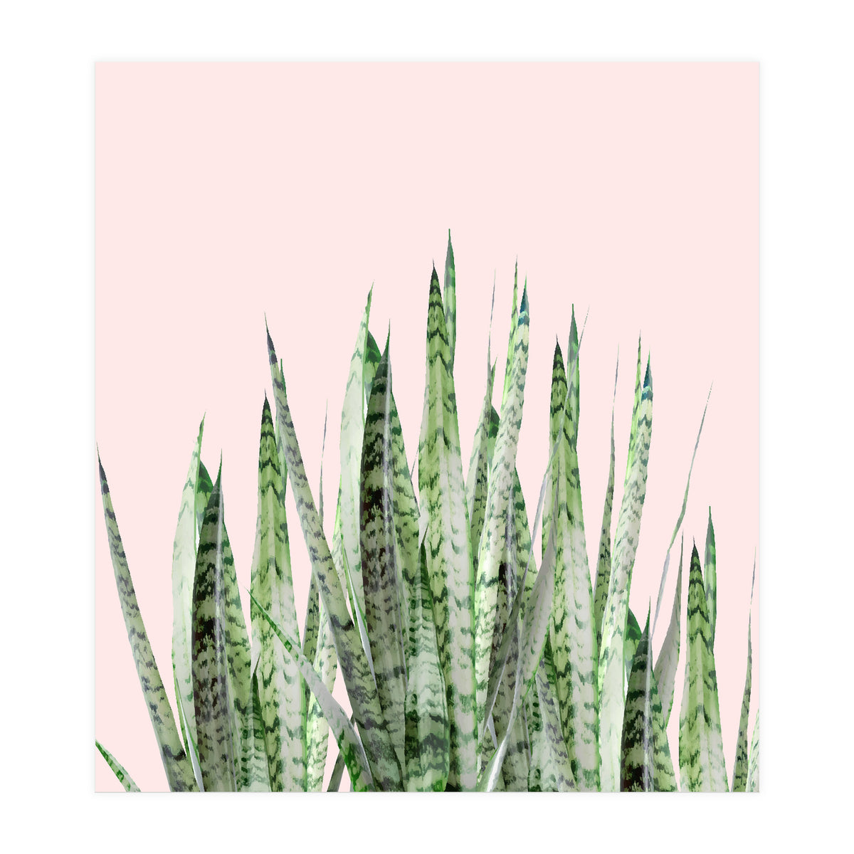 Botanical Balance (Print Only)