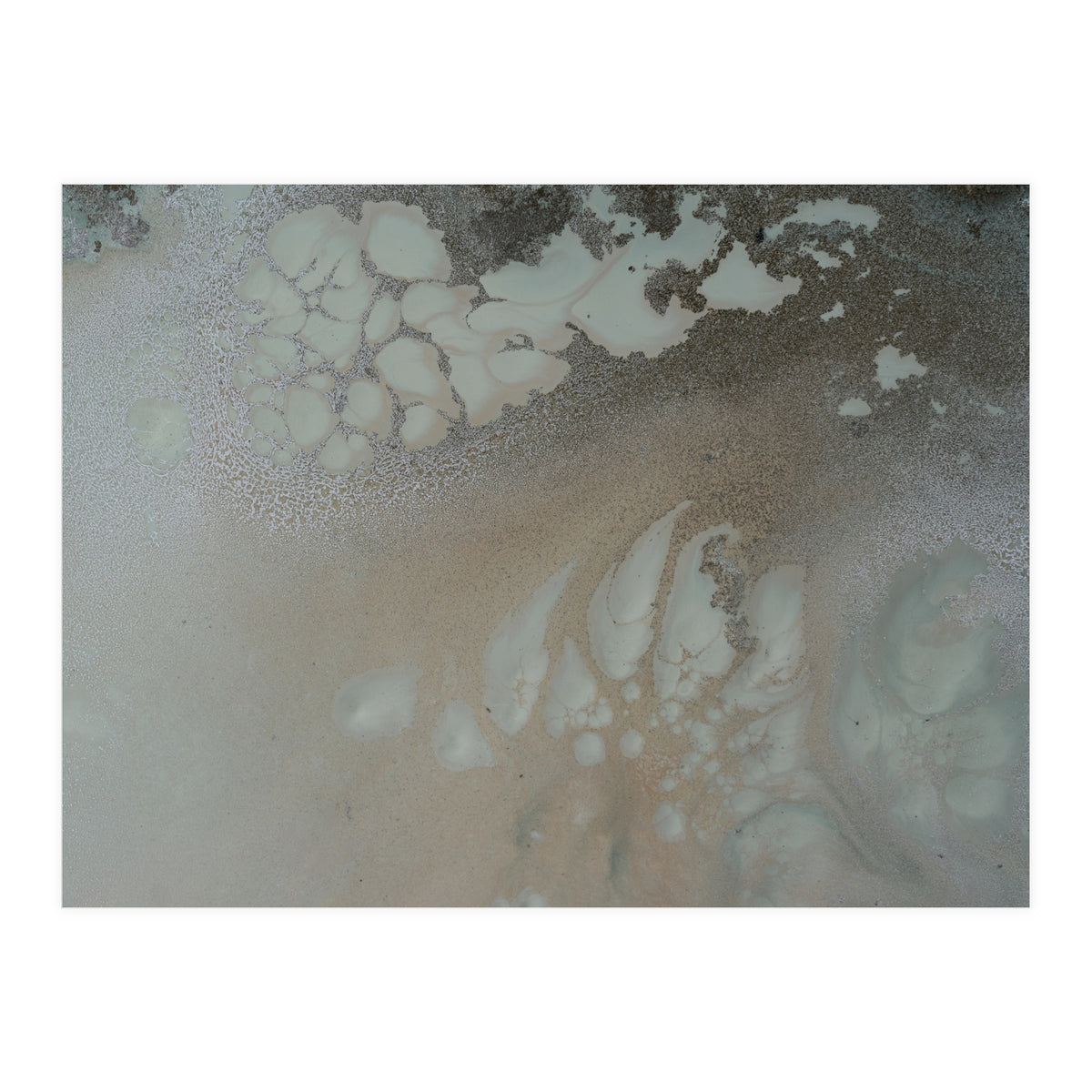 Nature Place (Print Only)