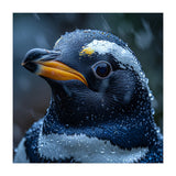 Macro view of a Penguin with Water Droplets (Print Only) thumbnail