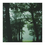 Silence of breath - 13 (Print Only) thumbnail