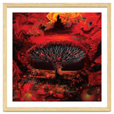 Socotra Dragon Blood tree thumbnail