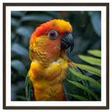 Close Up Of A Colorful Sun Conure Parrot thumbnail