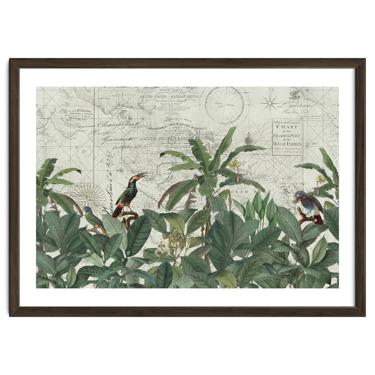 Explore The New World