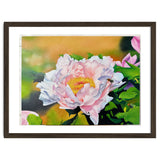 peony thumbnail