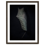 Leaves No 3 Color Version thumbnail