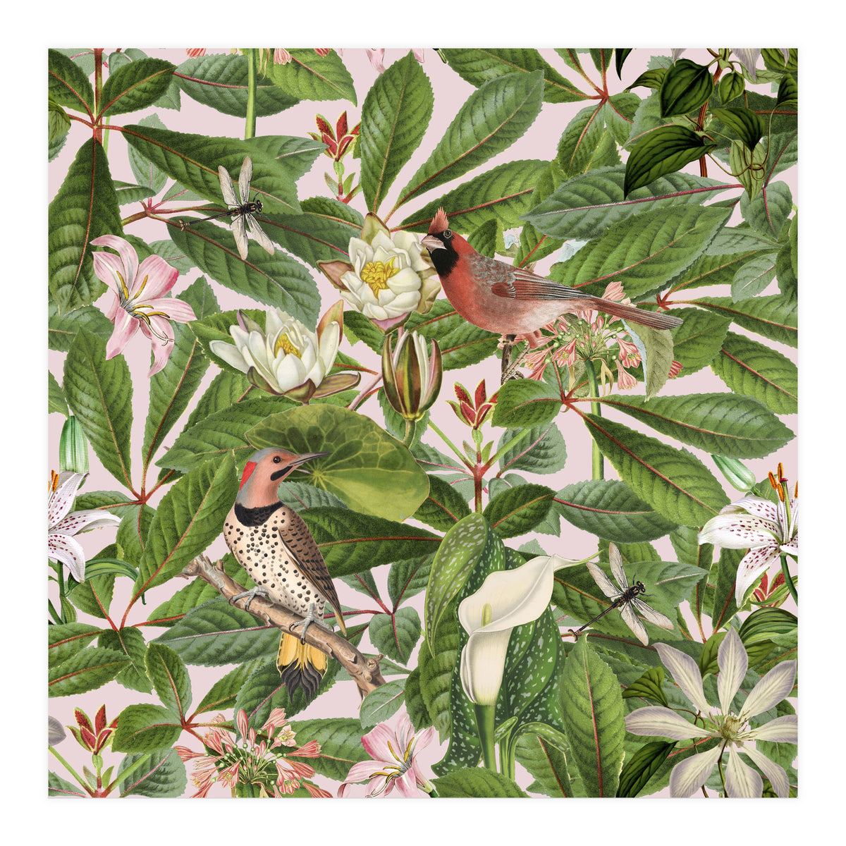 Tropical Bird Garden (Print Only)