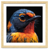 Vibrant Bird With Orange And Blue Plumage thumbnail