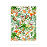 Birds And Butterflies In Tropical Jungle (Print Only) thumbnail