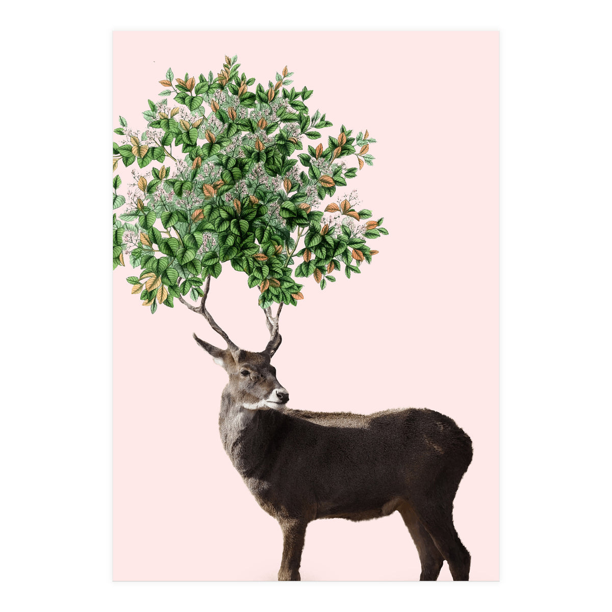 One With Nature V2 (Print Only)