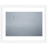 Flying seagulls in the winter sky thumbnail